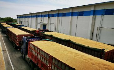 疫情防控物资储备方案范文5篇