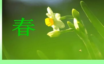 初中学生青春演讲稿7篇