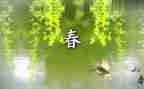春节活动策划案范文通用7篇