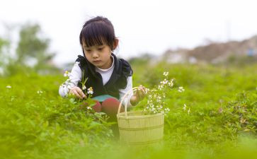 纯真的心作文推荐8篇