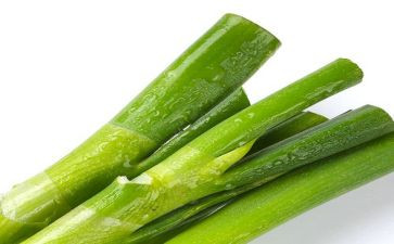 语言葱教案优质6篇