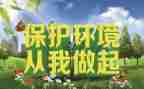 《爱护环境,从我做起》演讲稿精选8篇