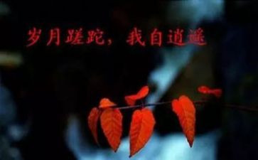 有关从心开始的演讲稿5篇