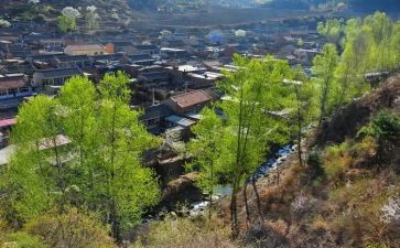 大学生村官工作述职报告5篇