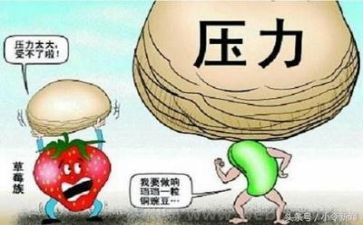 面对挫折的优秀作文7篇