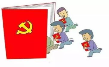 党个人年度总结优质7篇