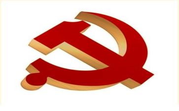 与党有关的调查报告精选6篇