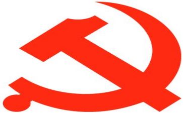 2024主题党日活动总结报告8篇