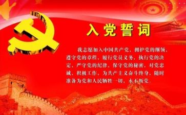 党个人年度总结6篇