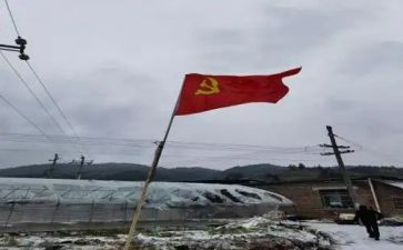 税党员转正申请书最新8篇