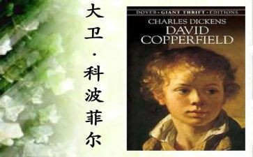 大卫科波菲尔读后感600字5篇