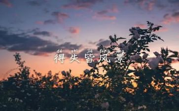 得与失的作文800字通用5篇