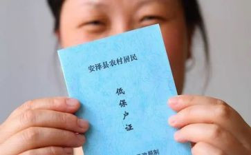 低保的工作计划8篇