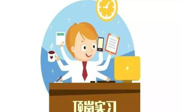 顶岗实习个个人总结最新6篇