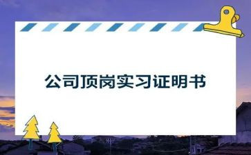 选顶岗实习个人总结推荐5篇