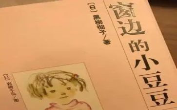 小豆豆读后感300字7篇