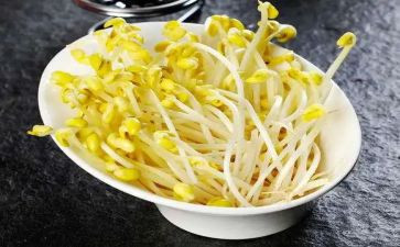 炒豆芽作文300字8篇