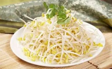 炒豆芽的作文7篇