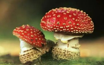 村禁毒讲话稿7篇