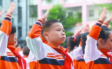 小学生入少先队员演讲稿6篇