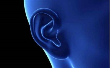 耳鼻喉年度工作总结8篇