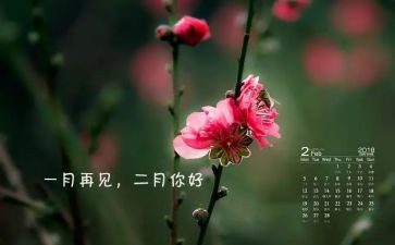 工作第二月总结最新5篇