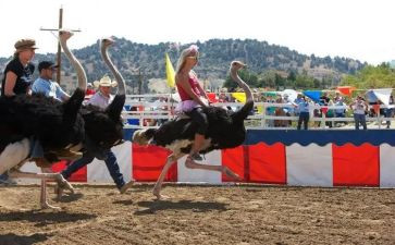 我发明的________作文最新6篇