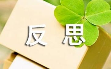 个人反思工作总结6篇