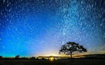 繁星的读后感500字7篇