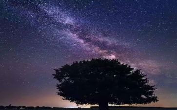 读了繁星的读后感模板7篇
