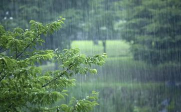 彩虹总在风雨后作文推荐5篇