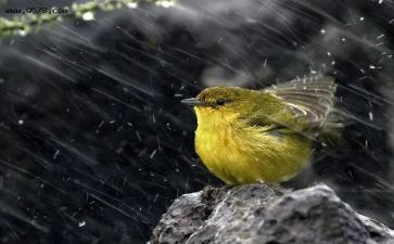 彩虹总在风雨后作文参考7篇