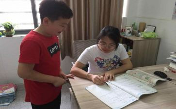 辅差工作个人总结8篇