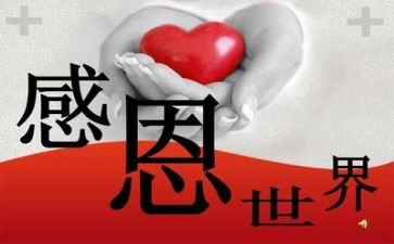 老师感恩的演讲稿5篇