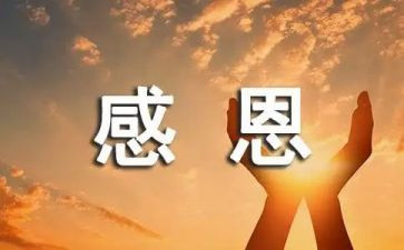 感恩教师演讲稿600字7篇