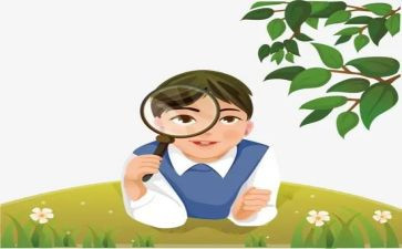 观察蚕作文400字参考6篇