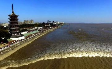 观潮精品教案优秀8篇