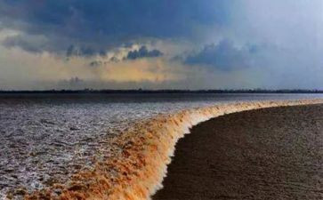 观潮教案模板6篇