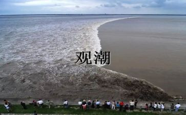 观潮优秀教案精选7篇