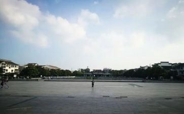 广场舞的观后感6篇