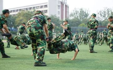 观训心得500字参考5篇
