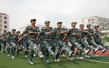 观训心得500字最新6篇