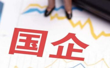 国企工作总结个人范文5篇