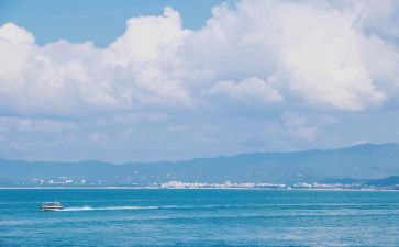 海训个人总结800字模板5篇