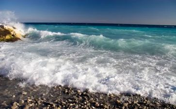 海水污染的调查报告8篇