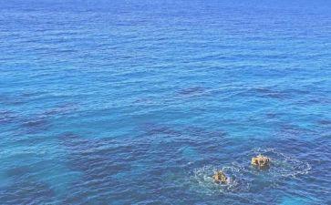 海训工作个人总结优质7篇