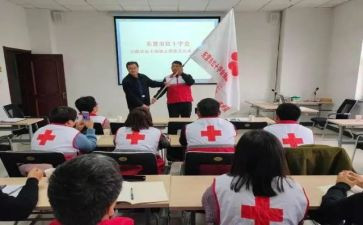 村红十字会工作总结8篇