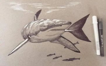 语言《画》教案6篇