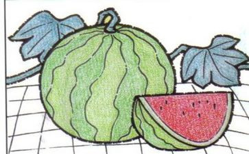 语言《画》教案优质8篇