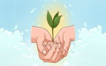 学校环保教育总结6篇